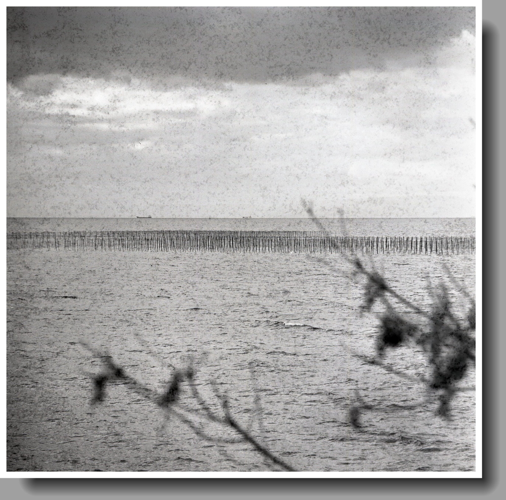 海苔杭の海　～もうRollei Retro80Sは使わない。