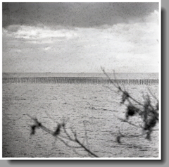 海苔杭の海　～もうRollei Retro80Sは使わない。