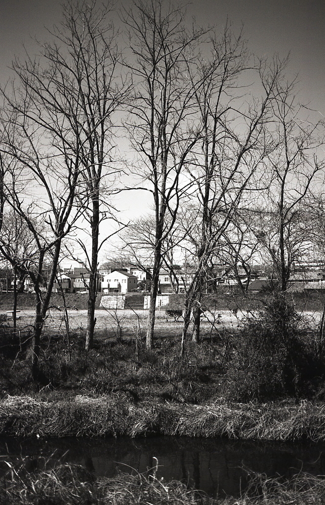 並ぶ家々が見える内津の立木