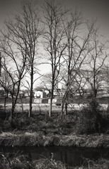 並ぶ家々が見える内津の立木