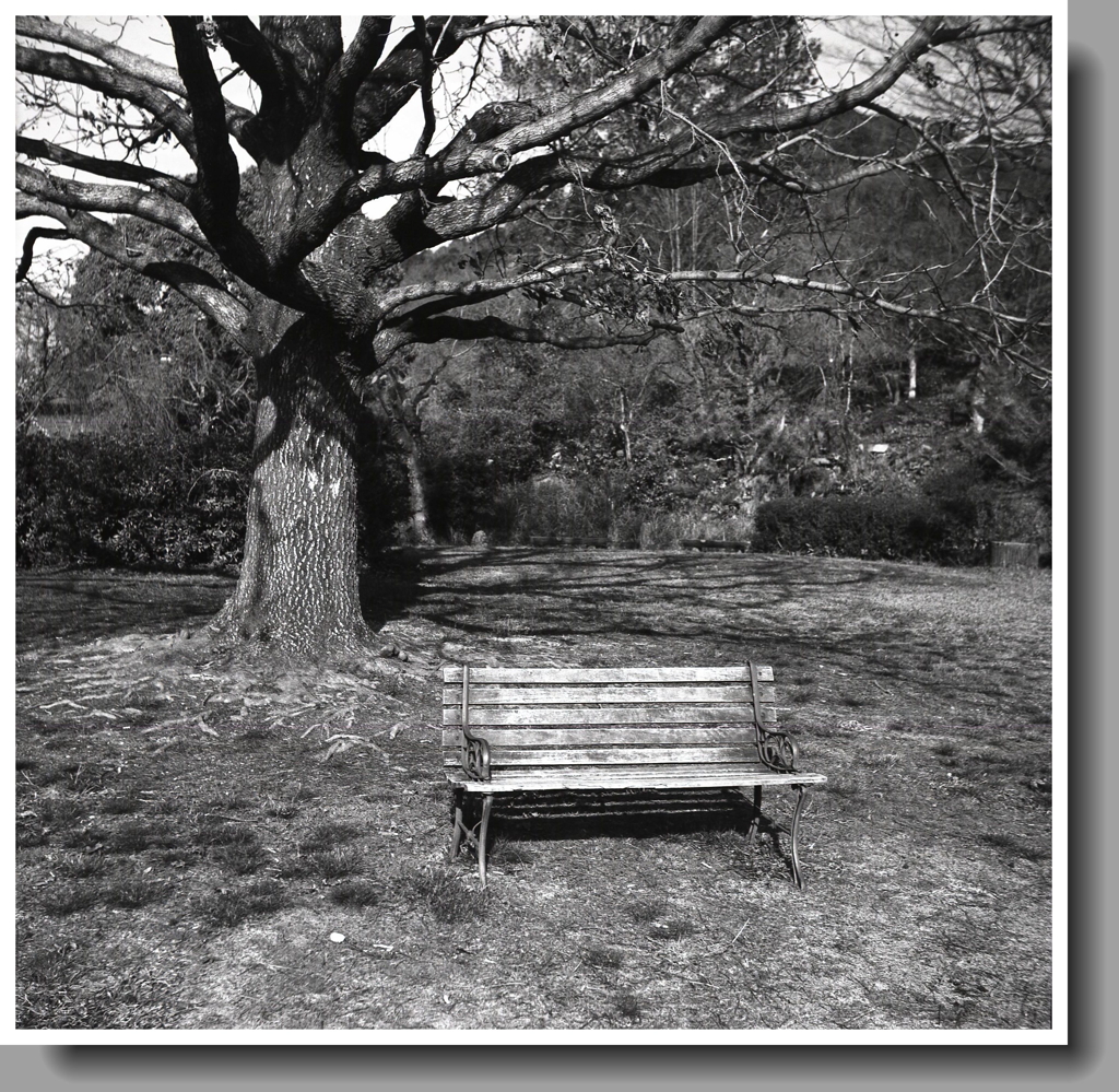 冬木したのベンチ