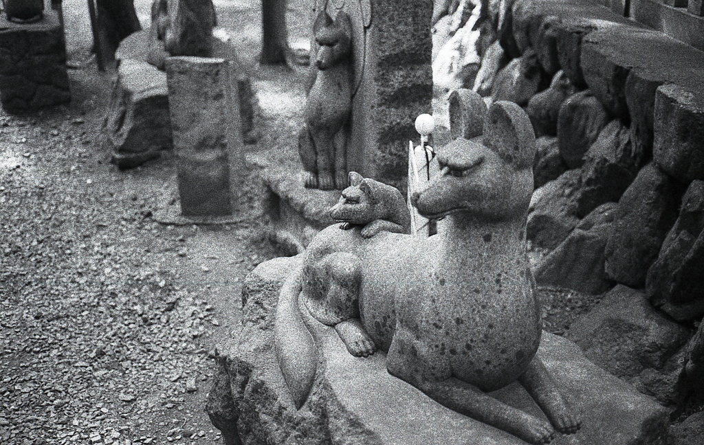 参道に群がる狐たち