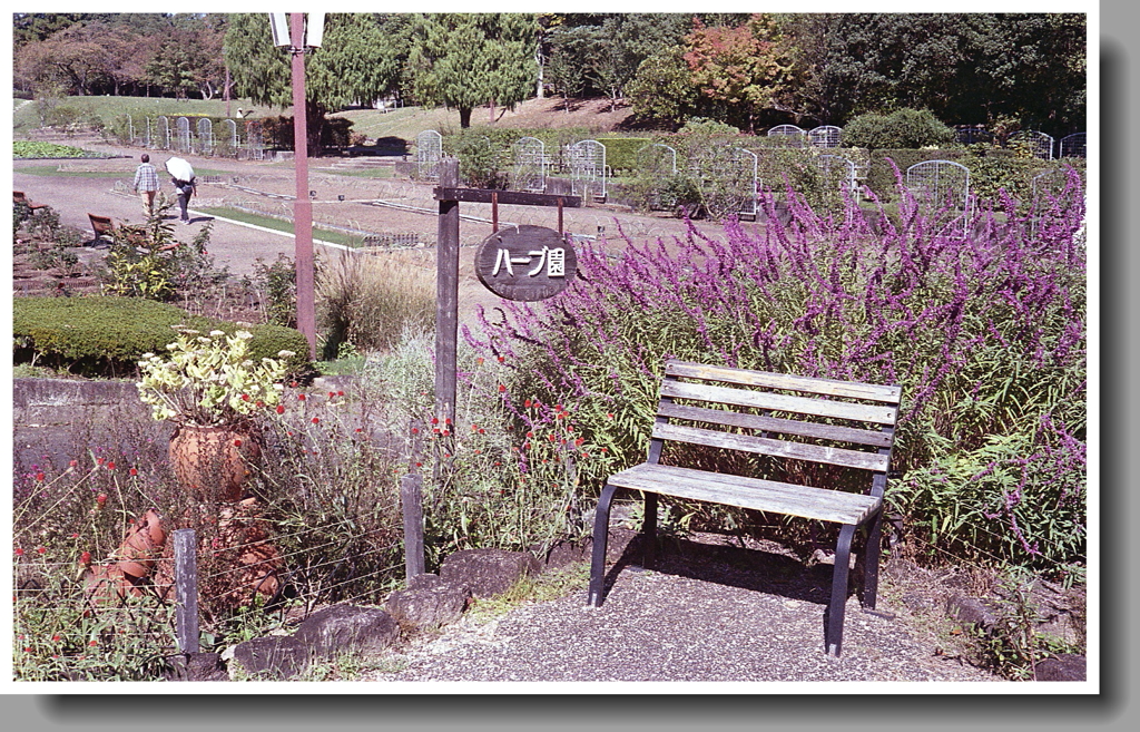 ハーブ園の二人ベンチ