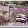 ハーブ園の二人ベンチ