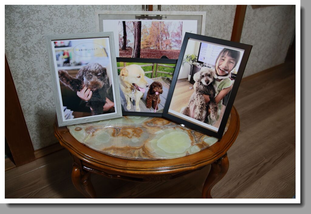 ブロニカの晩秋からマリの写真へ