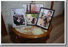 ブロニカの晩秋からマリの写真へ