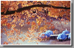 冬色の冬眠ボート