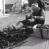 昆布を仕分ける碁石浜の漁師