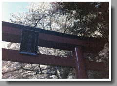 完全なる露出不足(汗