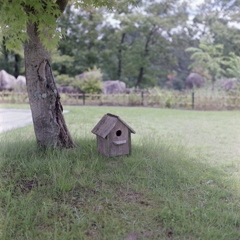 芝生の小鳥小屋
