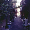 生活感のある小路の裏路地