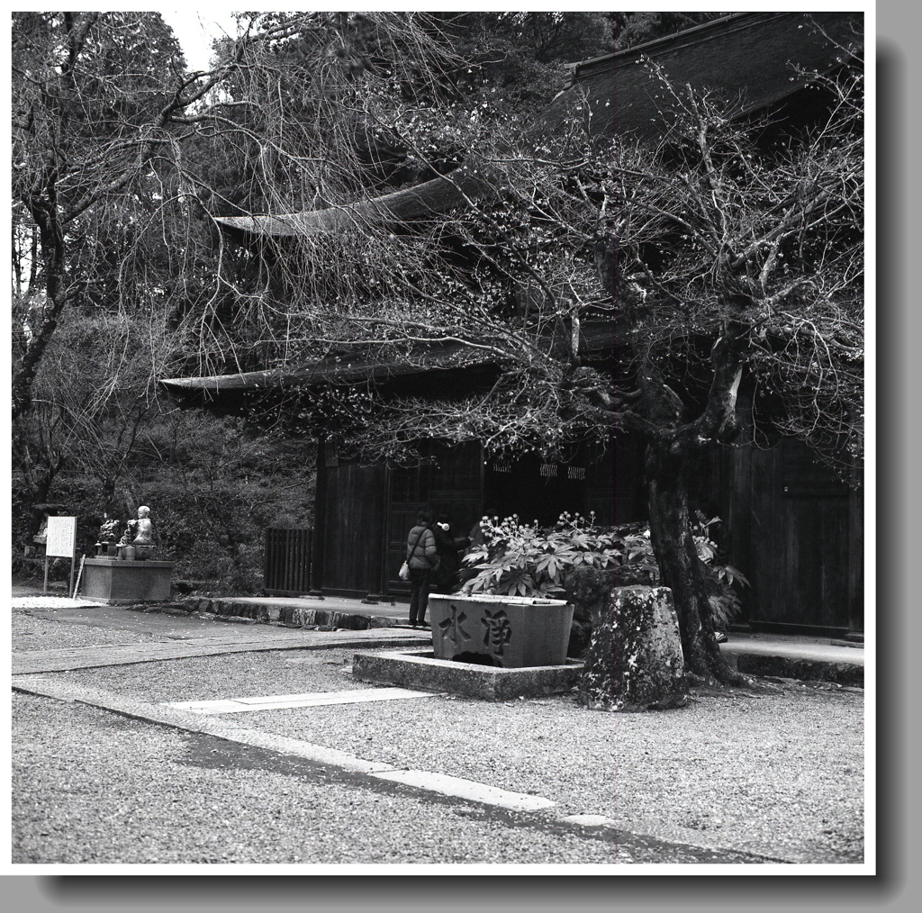 初詣　～瀬戸・定光寺元日