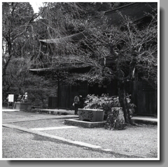 初詣　～瀬戸・定光寺元日