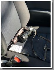 カメラを助手席に…