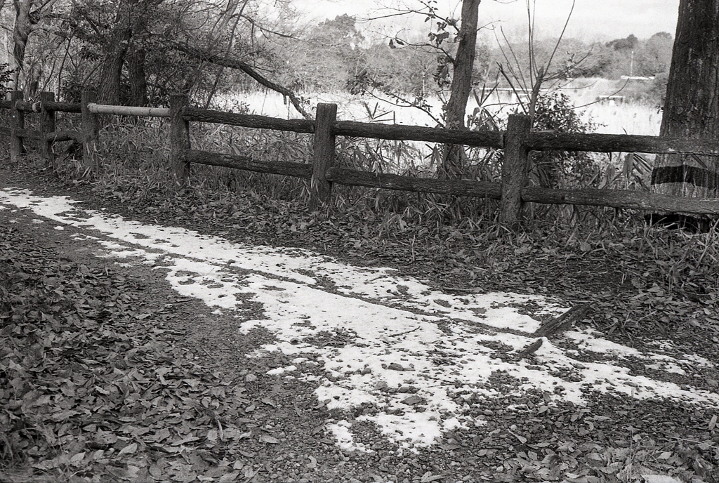 残雪の散道
