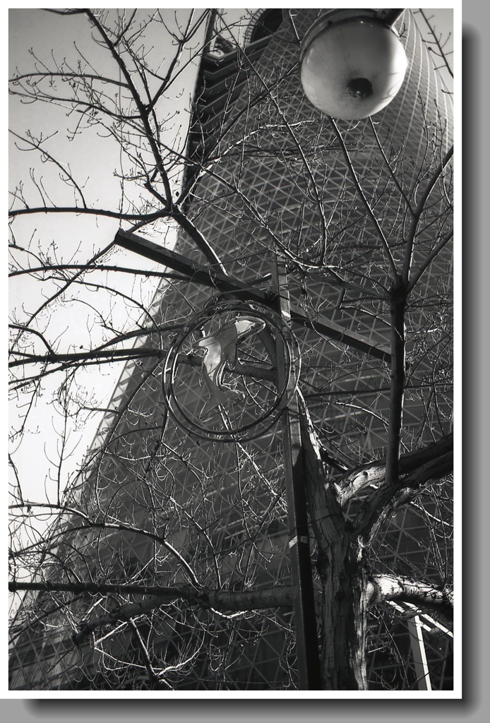 イルカのイルミネーション