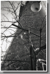 イルカのイルミネーション