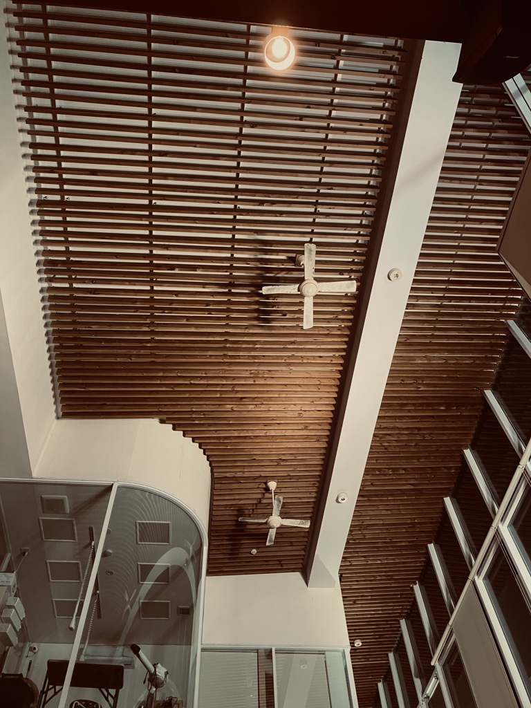 二十四時間動物病院