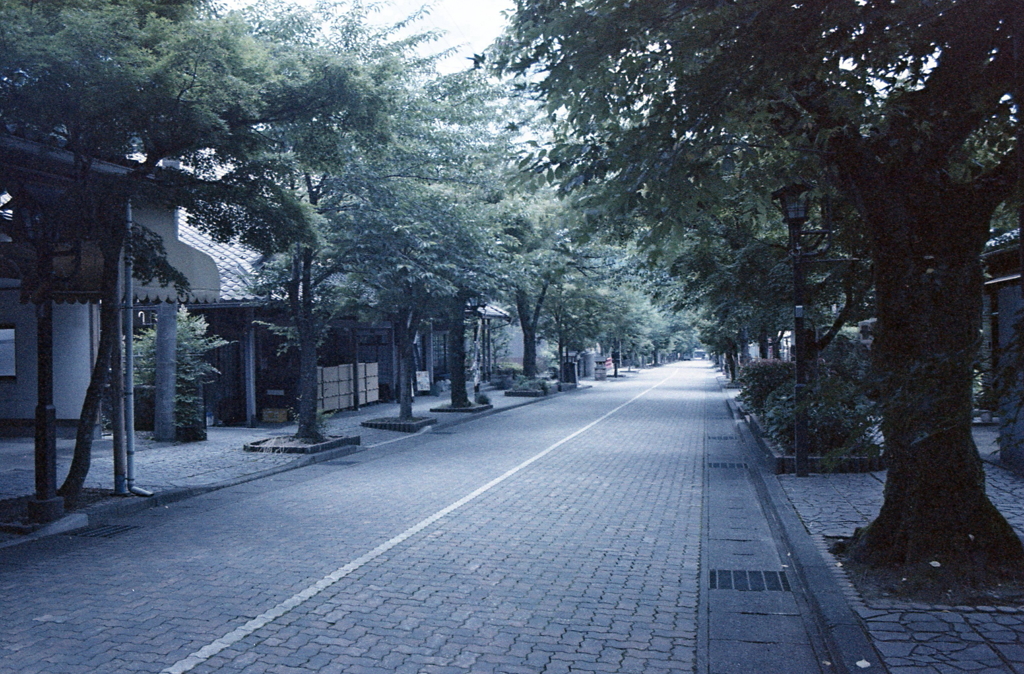 静まり帰る夏の参道