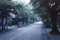 静まり帰る夏の参道