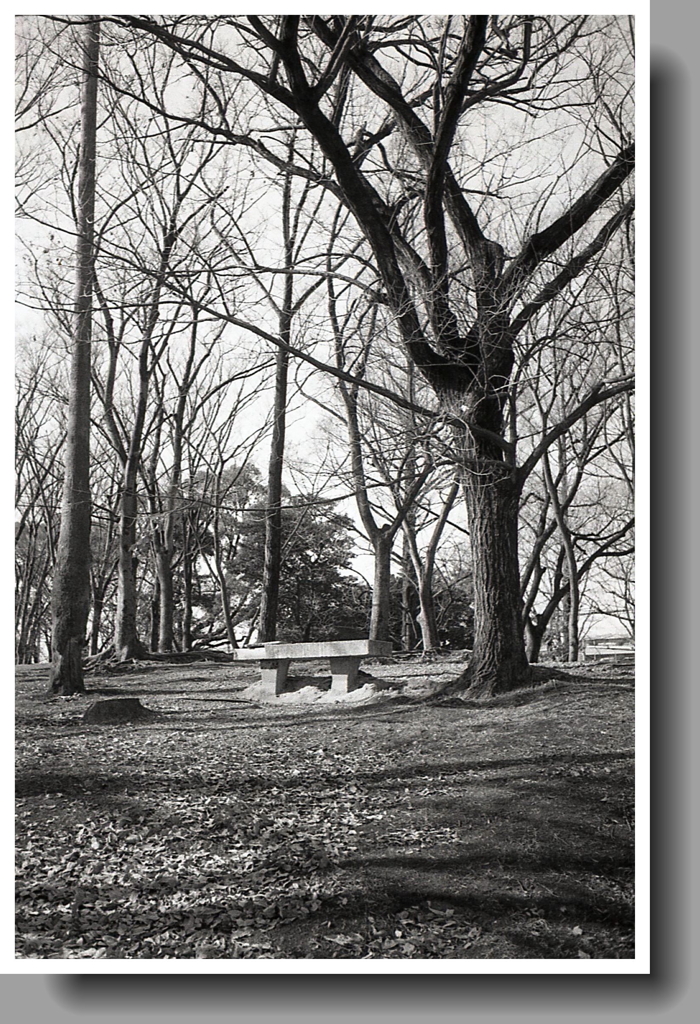 縦写のアングルか？はたまた…