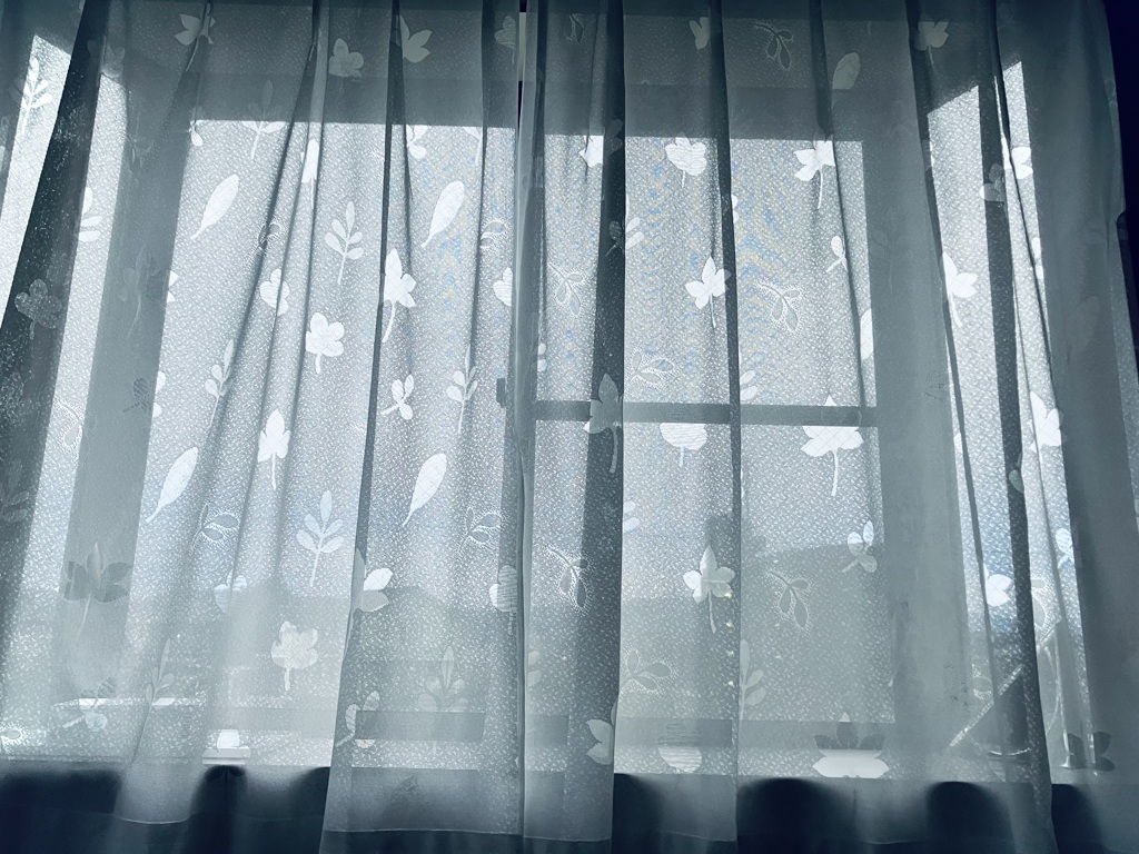 雨雲りの朝