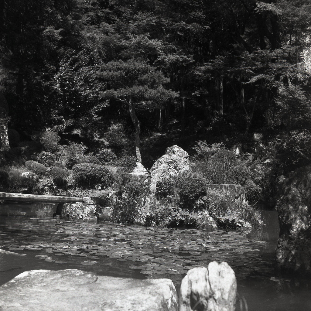 山水庭園