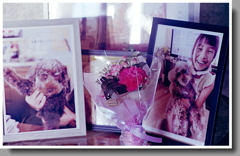 知人からのお供え花