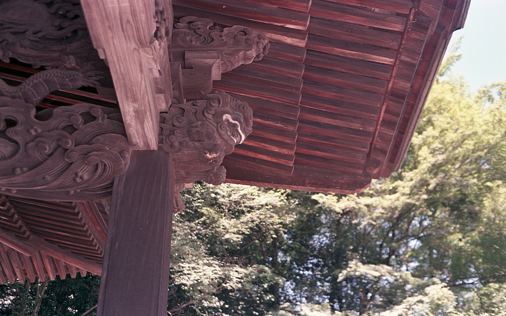 軒天の獅子　～内々神社本殿