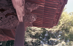 軒天の獅子　～内々神社本殿