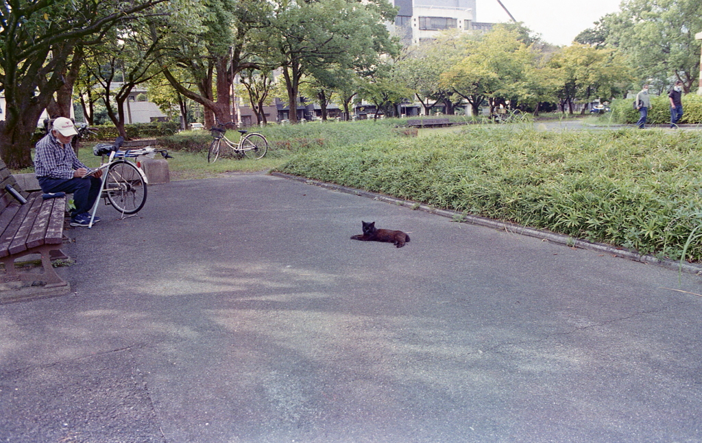 自転車の絵かきと黒猫