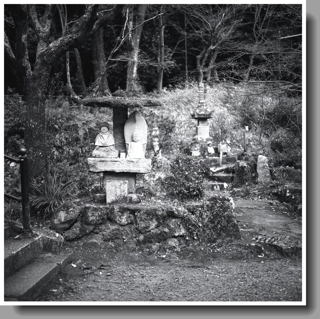 元日のアングル