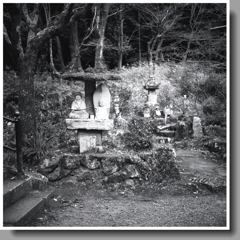 元日のアングル