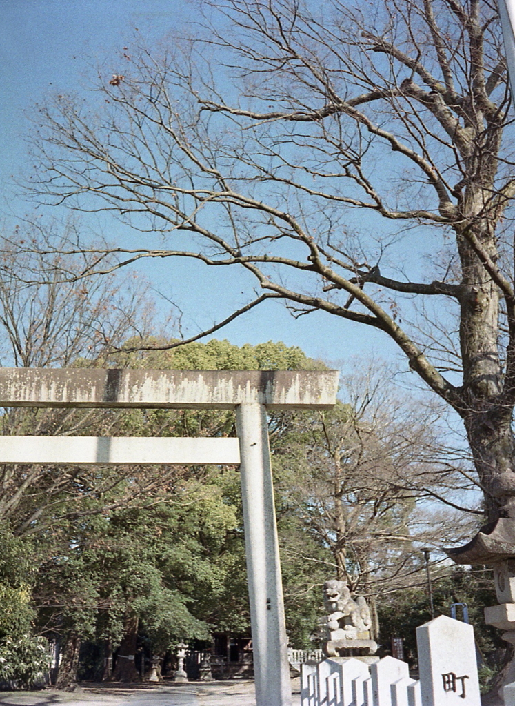 神明社へちょっとお参り　～ご近所さんぽ！
