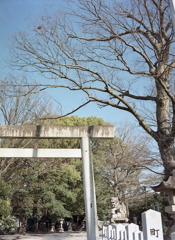 神明社へちょっとお参り　～ご近所さんぽ！