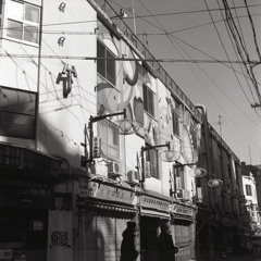 柳橋中央市場