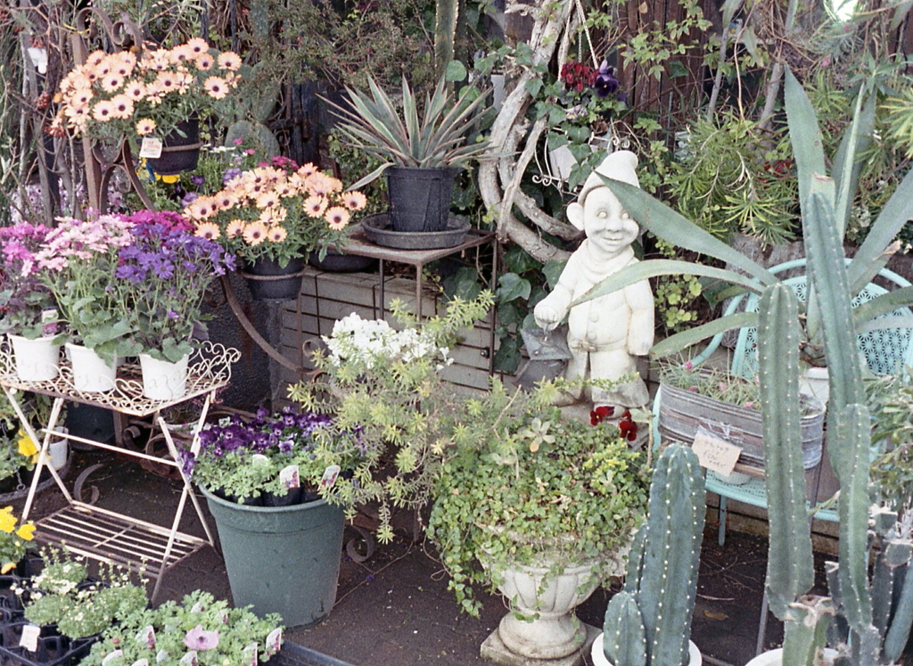 花屋さんの店先