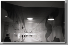 キャッツアイの下で…