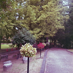 My angle walking alone in the park.