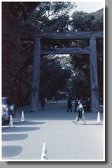 一礼し鳥居をくぐる