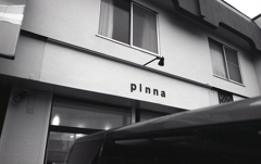 pinna