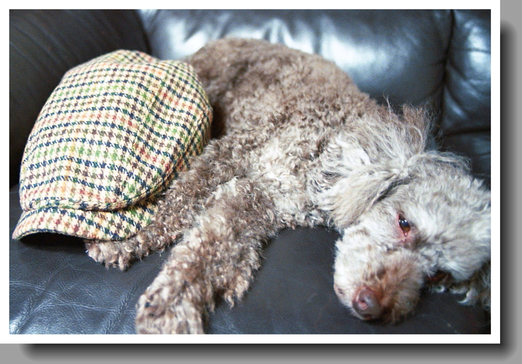 そして十年前のマリ