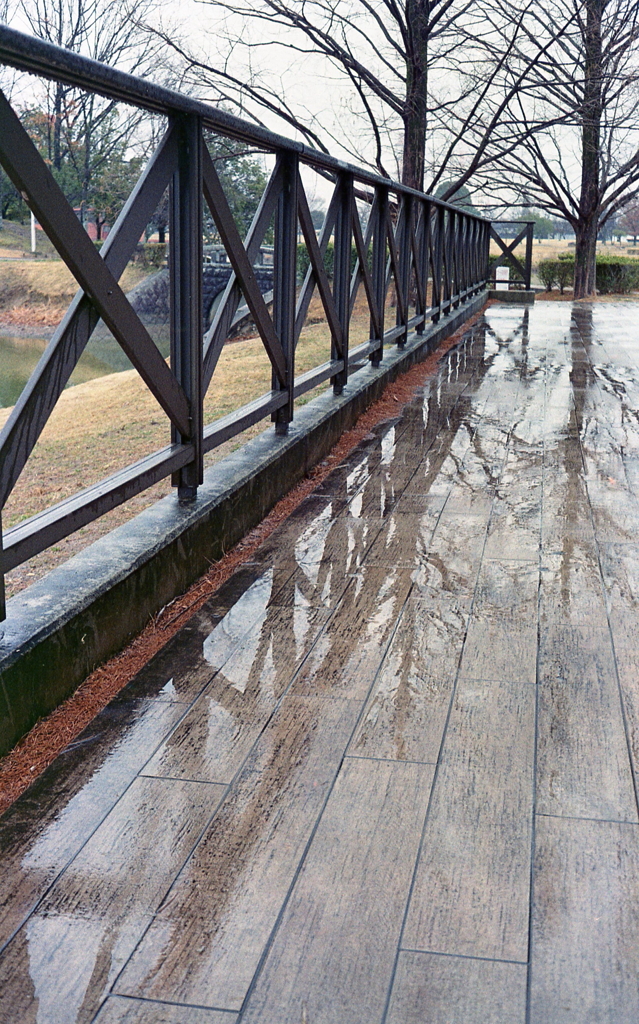 Rainy ParkⅥ