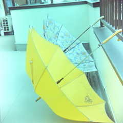 ミッキーの黄色い傘