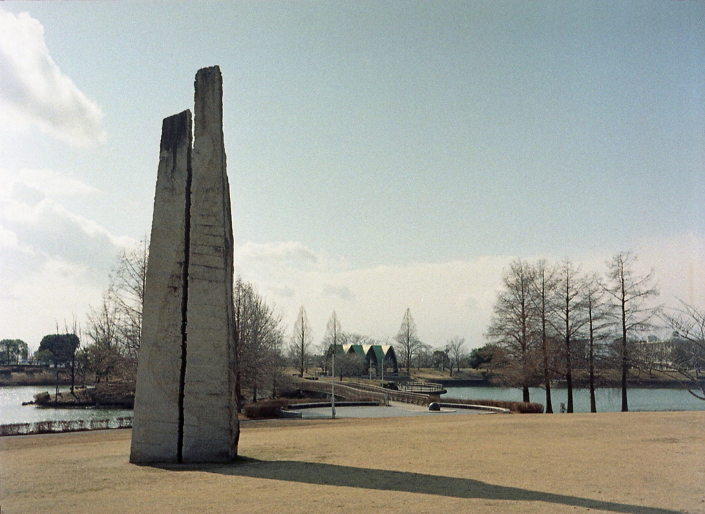 冬の公園Ⅱ