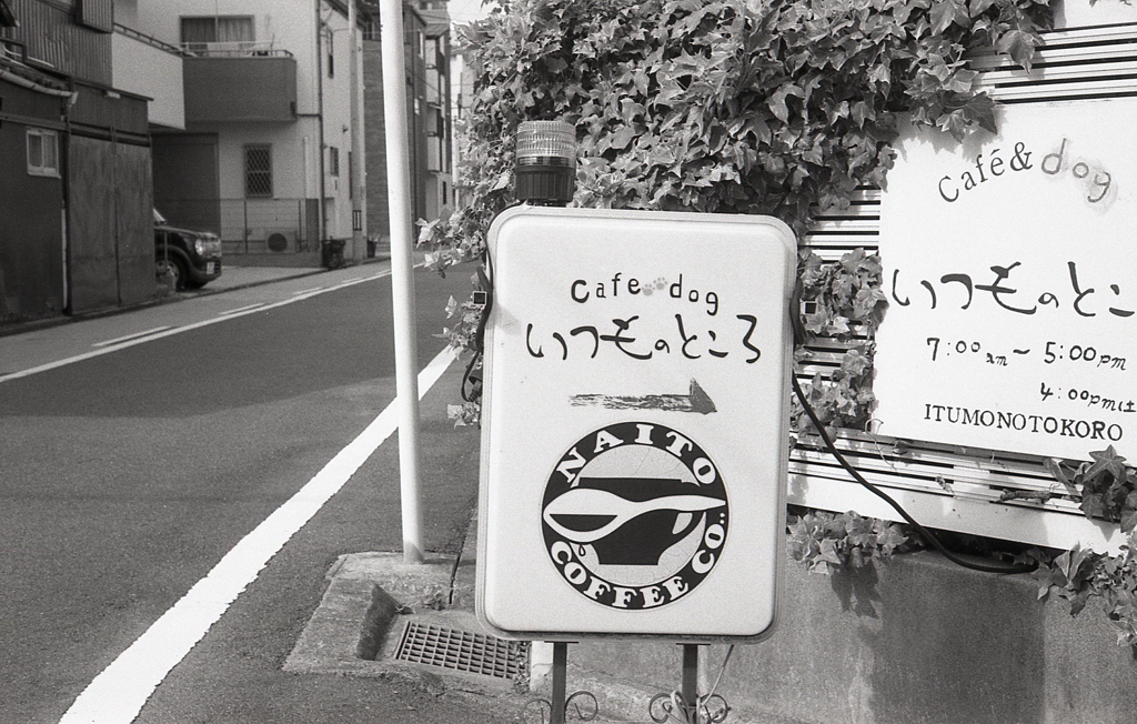 いつものところ