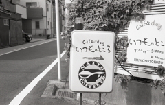 いつものところ