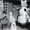 小狐たちの兄貴分（笑