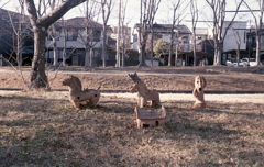 農耕馬と家
