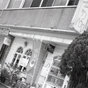coffeeサンパウロ